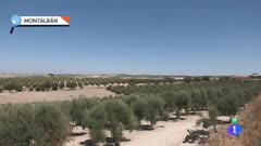 Emisi�n en directo de RTVE Play Cocina de RTVE