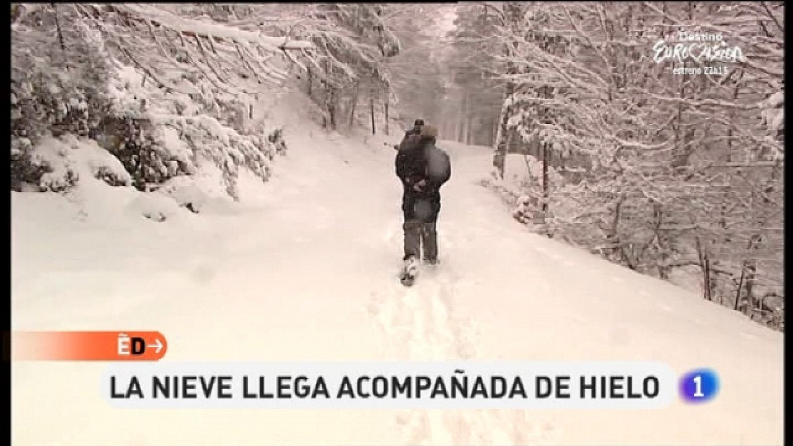 España Directo - 28/01/11 - España Directo | Ver