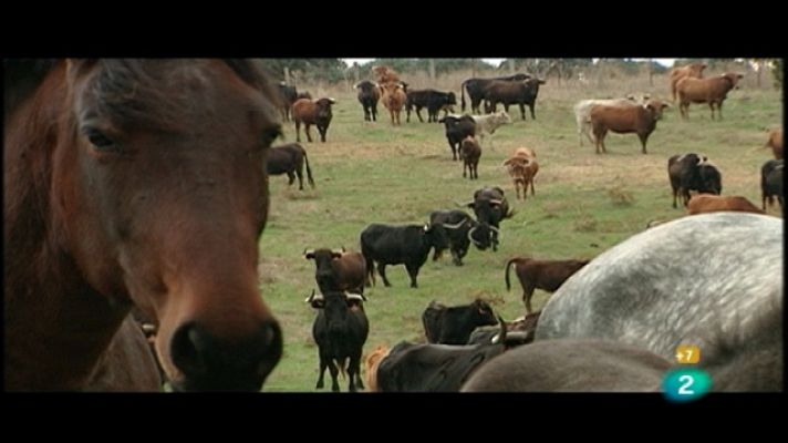 Tendido cero - Tendido cero - 29/01/11