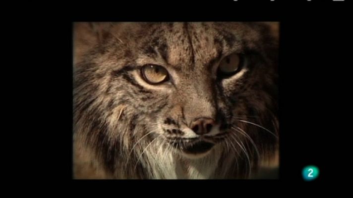 Biodiario - Biodiario - 30/01/11