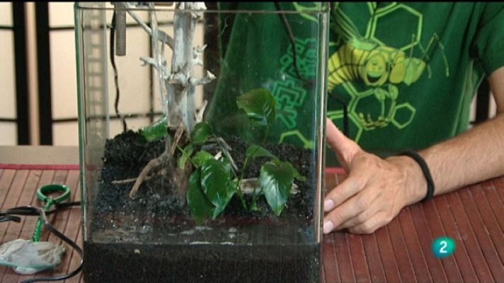 La aventura del Saber - La aventura del saber - 31/01/11