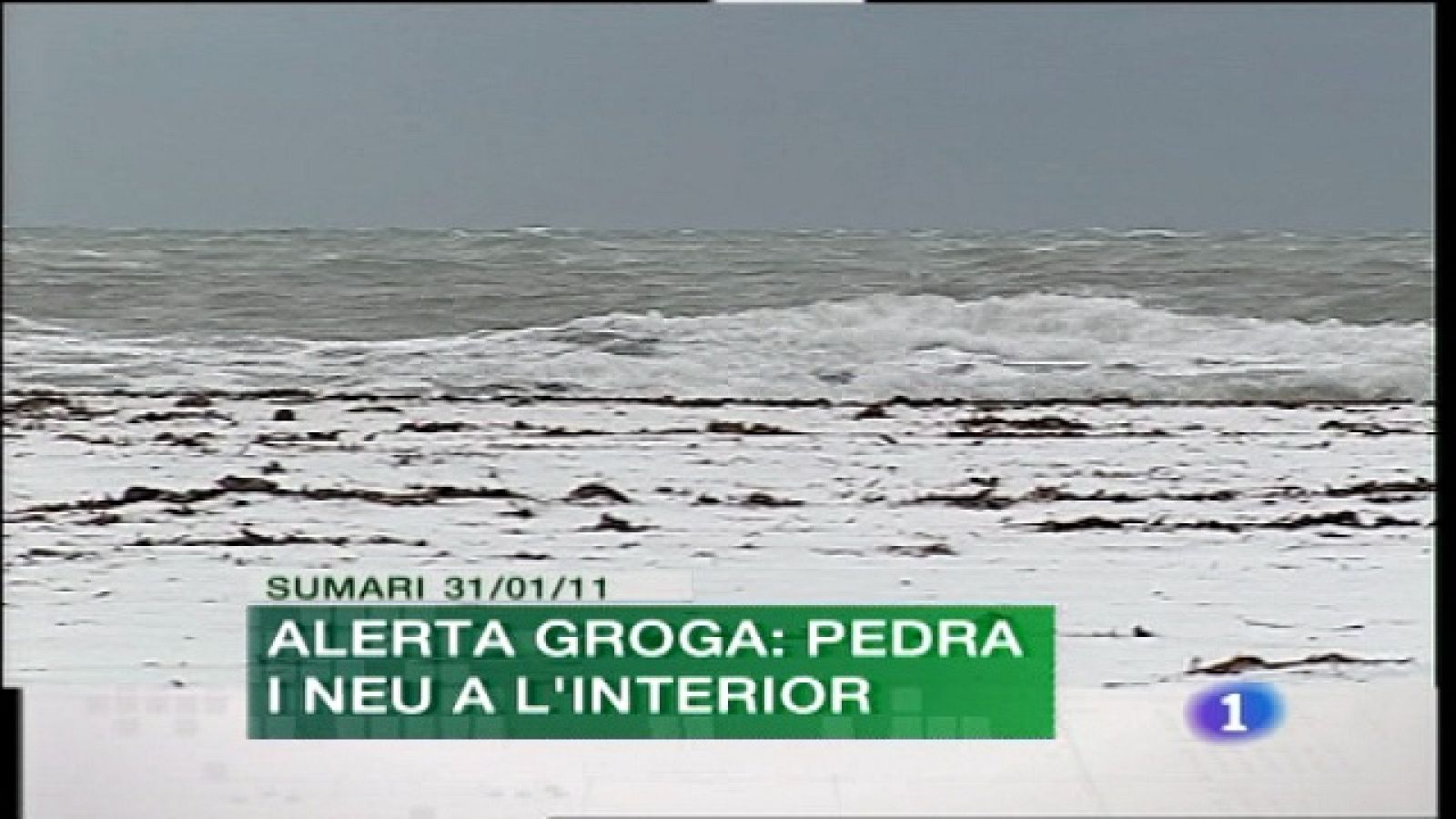 Comunidad Valenciana en 2' - 31/01/11 | Ver