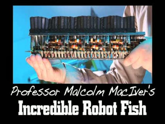 Ciencia y tecnología en Rtve.es - Ghosbot, el pez robot fantasma