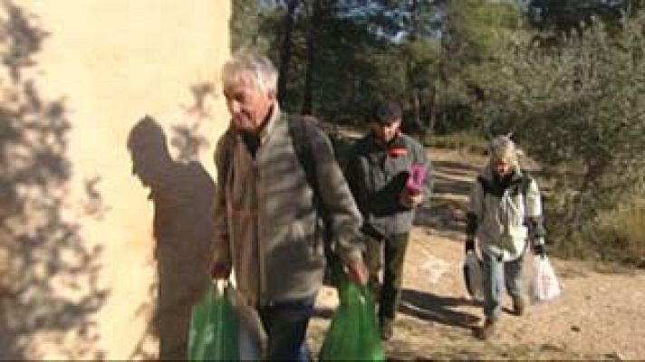 El escarabajo verde - El escarabajo verde