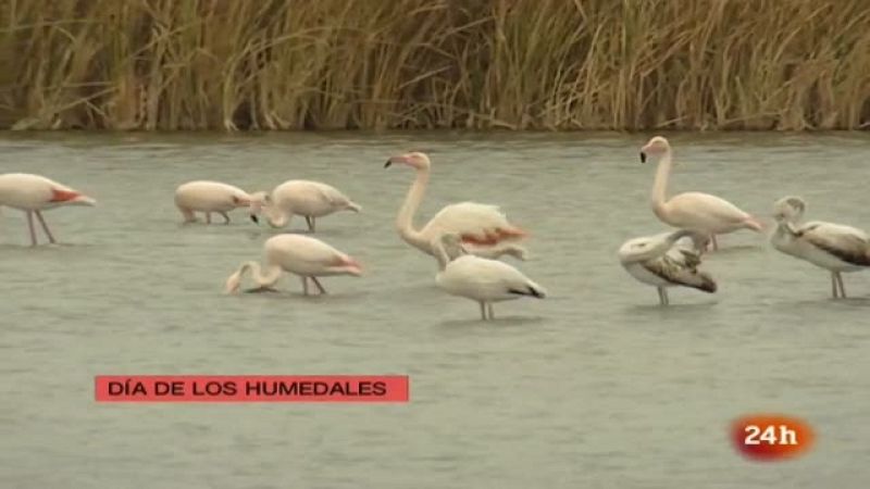 España en 24 horas - 02/02/11 - España en 24h | Ver