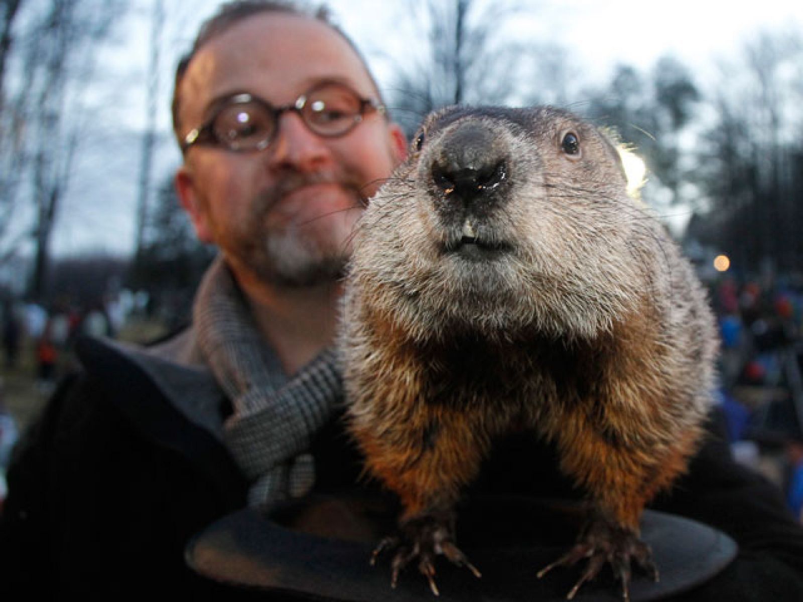 El día de la marmota | Ver