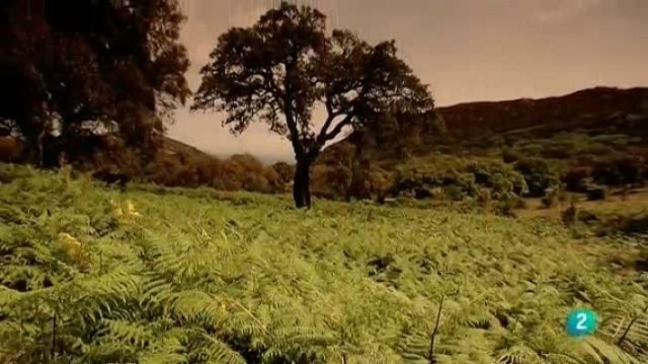 Biodiario - Biodiario - 02/02/11