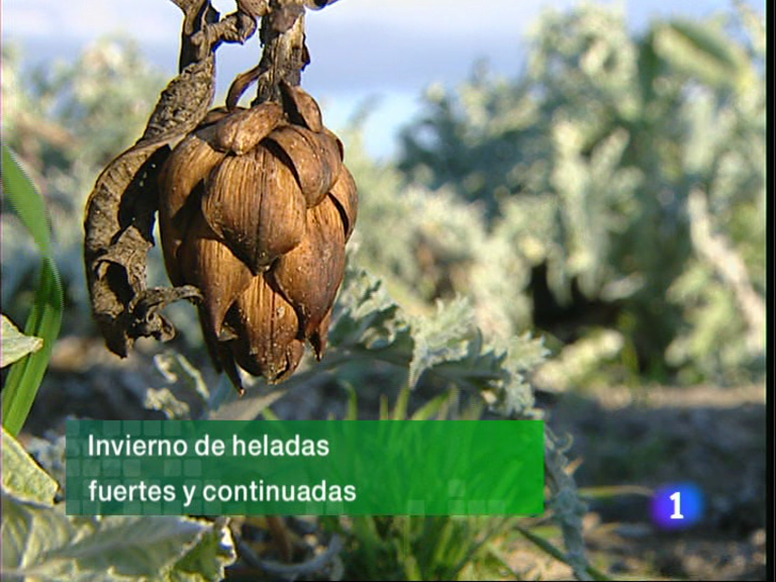 La Rioja en 2' - 03/02/11 | Ver