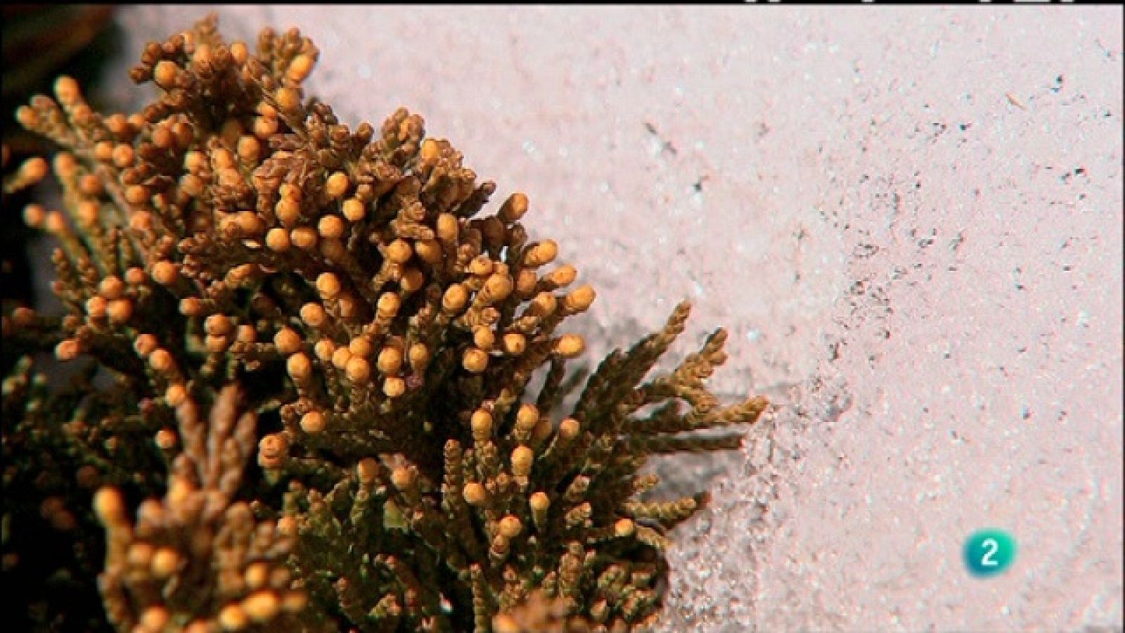 Biodiario - 05/02/11 - Biodiario | Ver