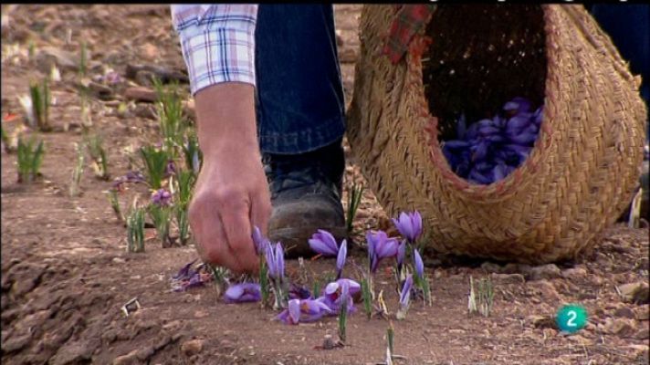 Biodiario - Biodiario - 06/02/11