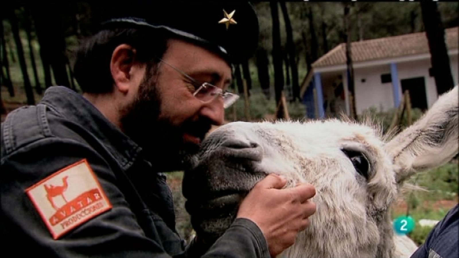 Biodiario - 07/02/11 - Biodiario | Ver