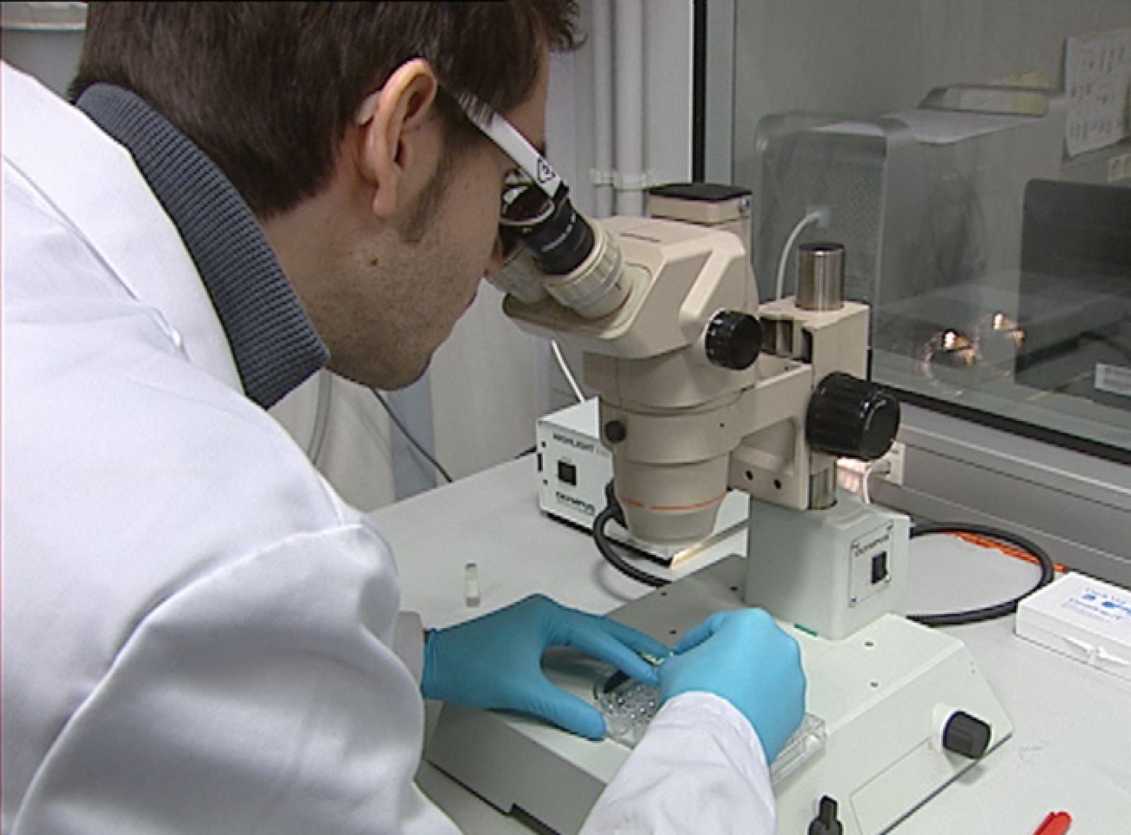 Año Internacional de la Química