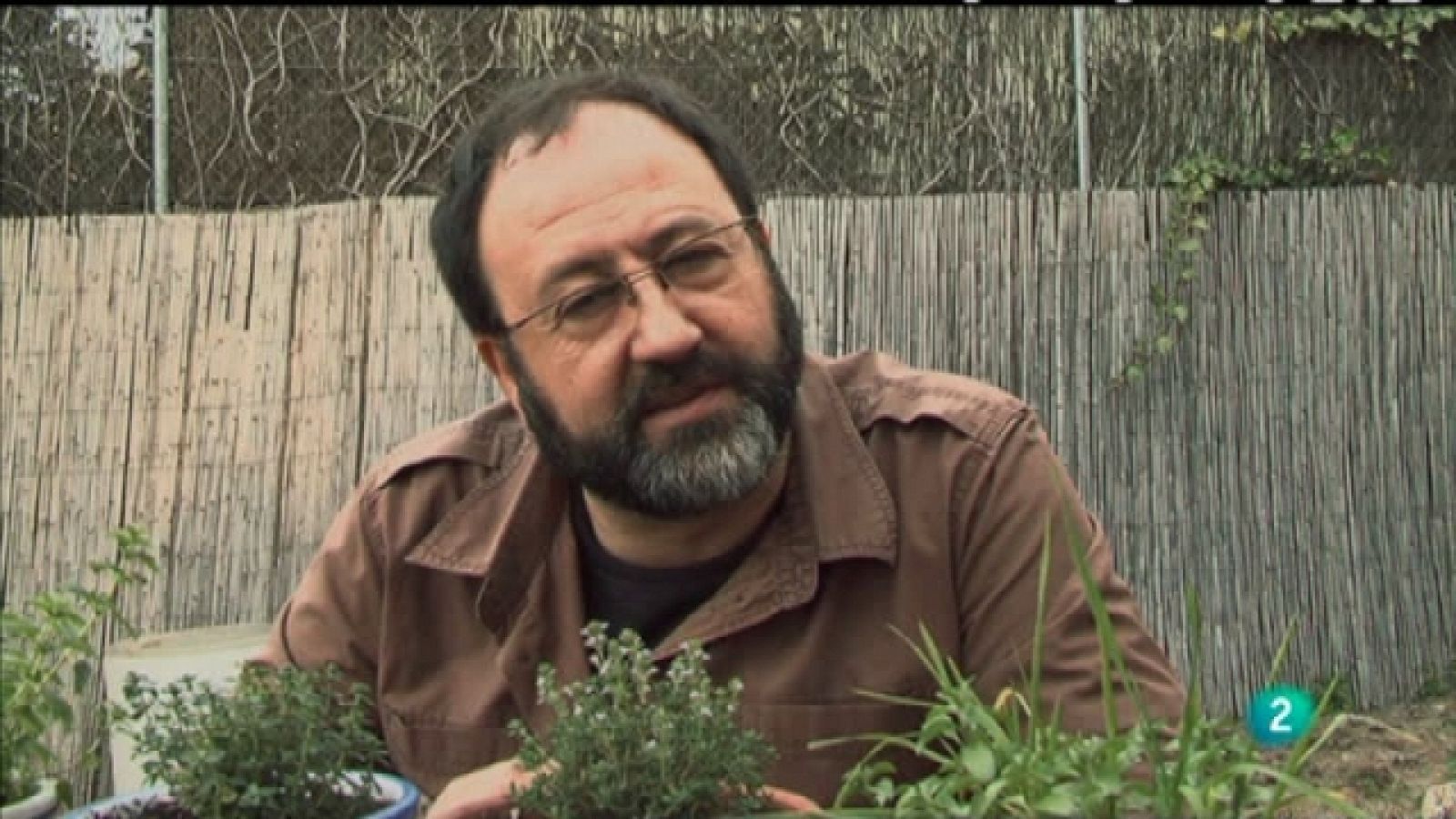 Biodiario - 08/02/11 - Biodiario | Ver