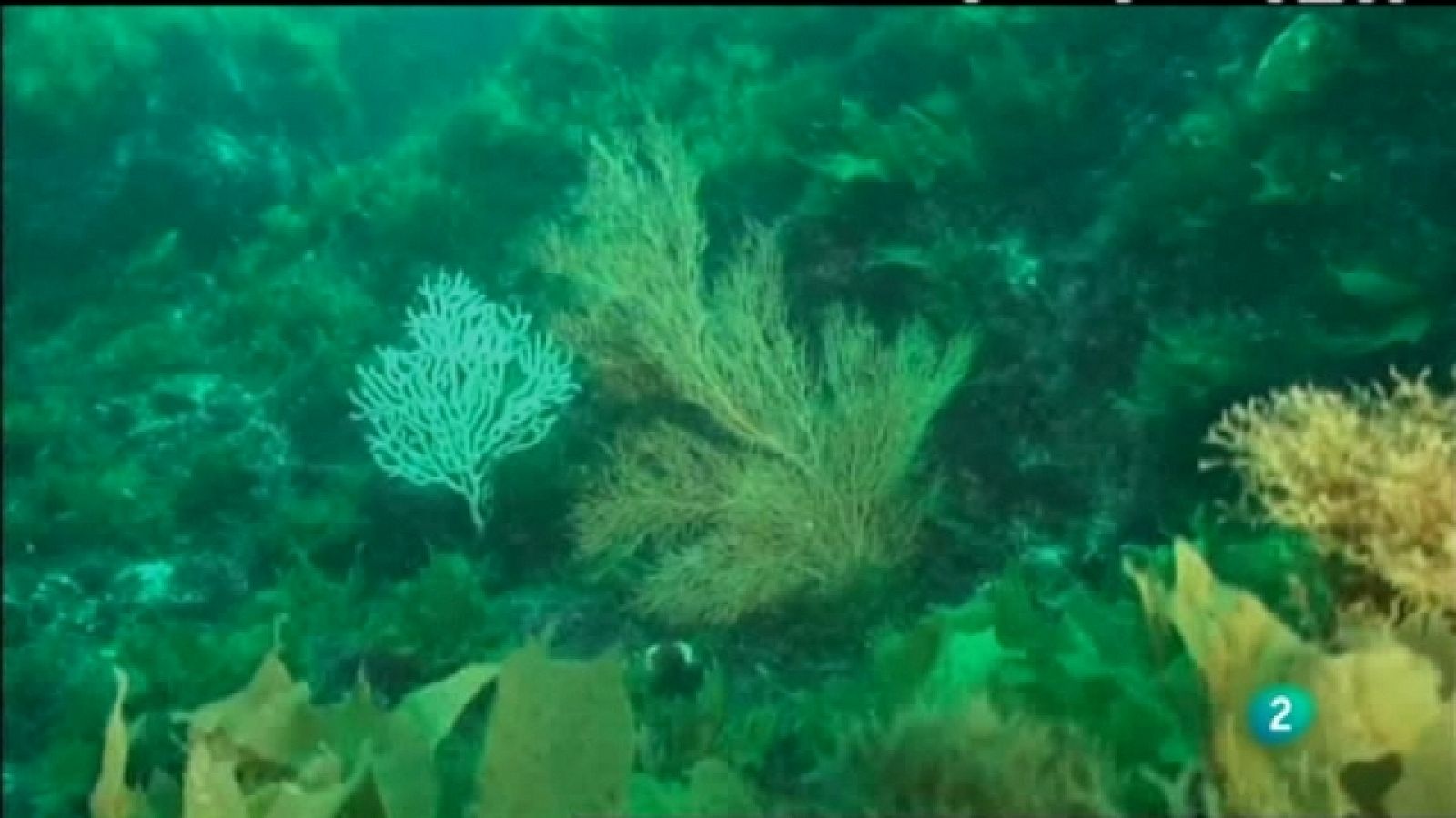 Biodiario - 09/02/11 - Biodiario | Ver