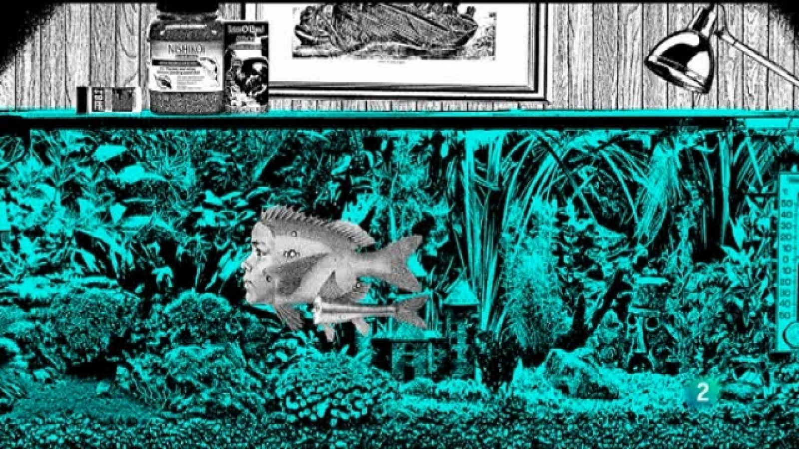 Grandes obras universales - Madame Bovary - Grandes obras universales | Ver