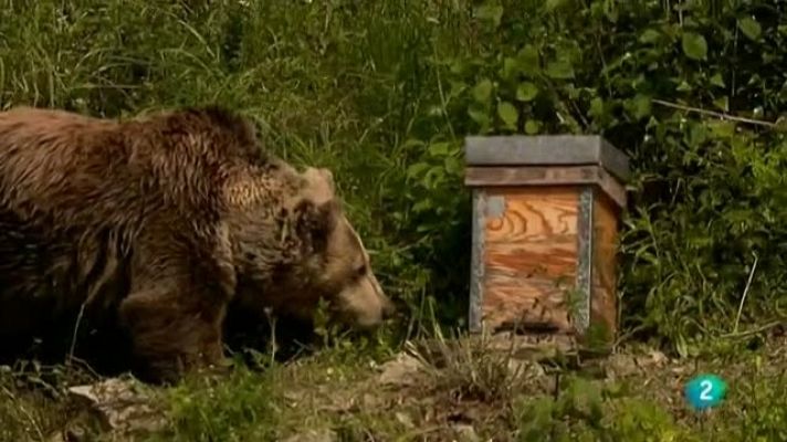 Biodiario - Biodiario - 10/02/11