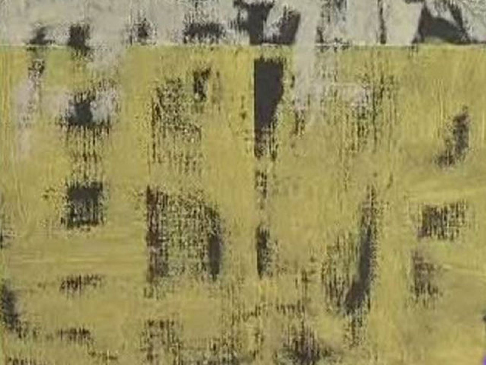 Este miércoles arranca en Madrid ARCO. La Feria Internacional de Arte Contemporáneo, que cumple 30 años y lo hace con importantes novedades. MARCOS Una de ellas, una asesoría de inversión indepediente para atraer a nuevos compradores y coleccionistas