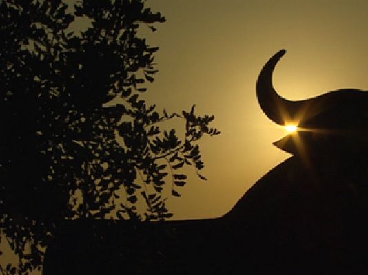 Noticias de Melilla - Noticias de Melilla - 11/02/11