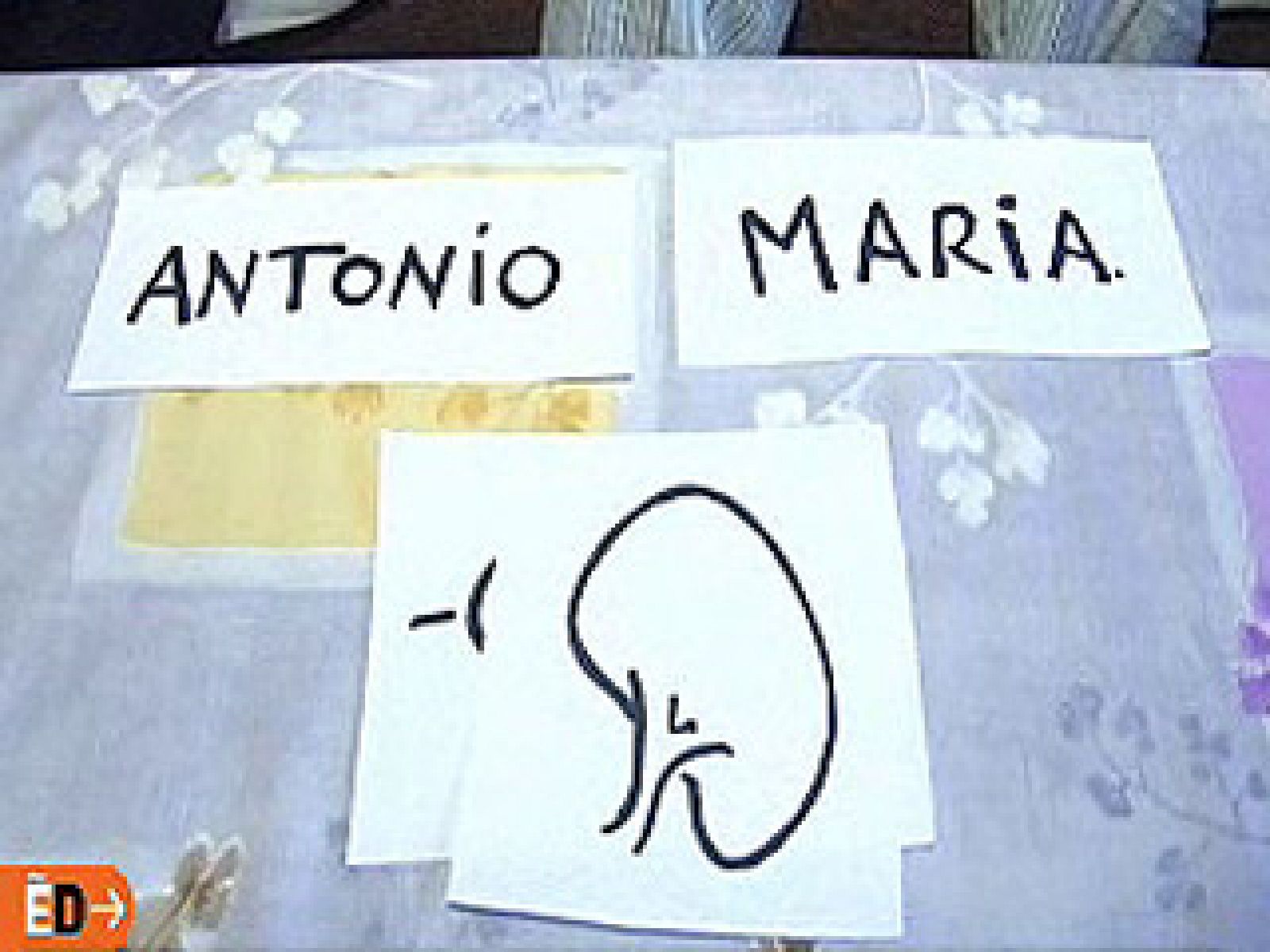 España Directo - Un trasplante de amor