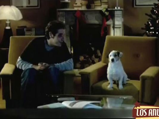 Los anuncios de tu vida - Rufito es tu hijo