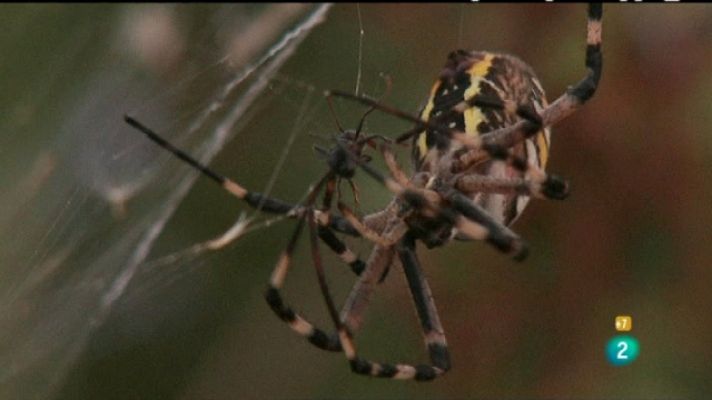 Zzz - Zzz - 16/02/11