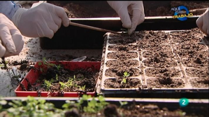 Aquí hay trabajo - Aquí hay trabajo - 17/02/11