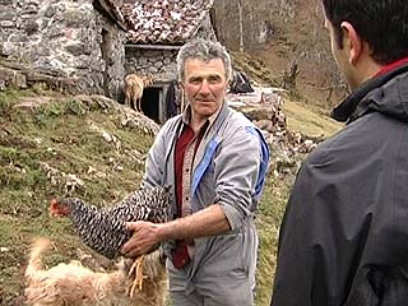 Comando Actualidad - Aislados -  Último pastor