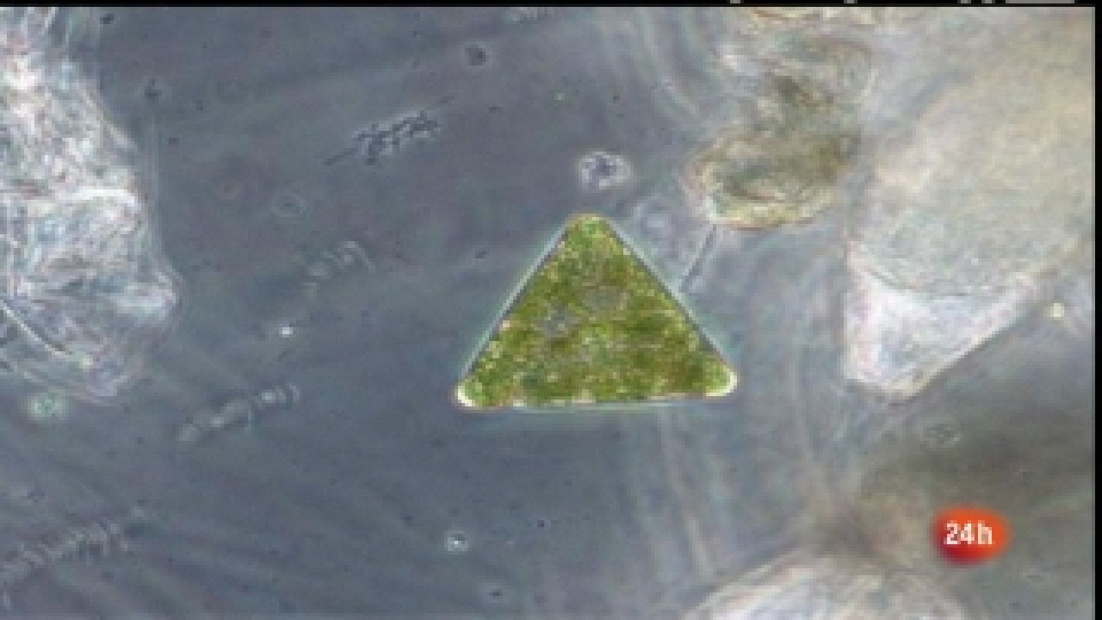 Malaspina 2010 - Capítulo 2 - La expedición Malaspina | Ver