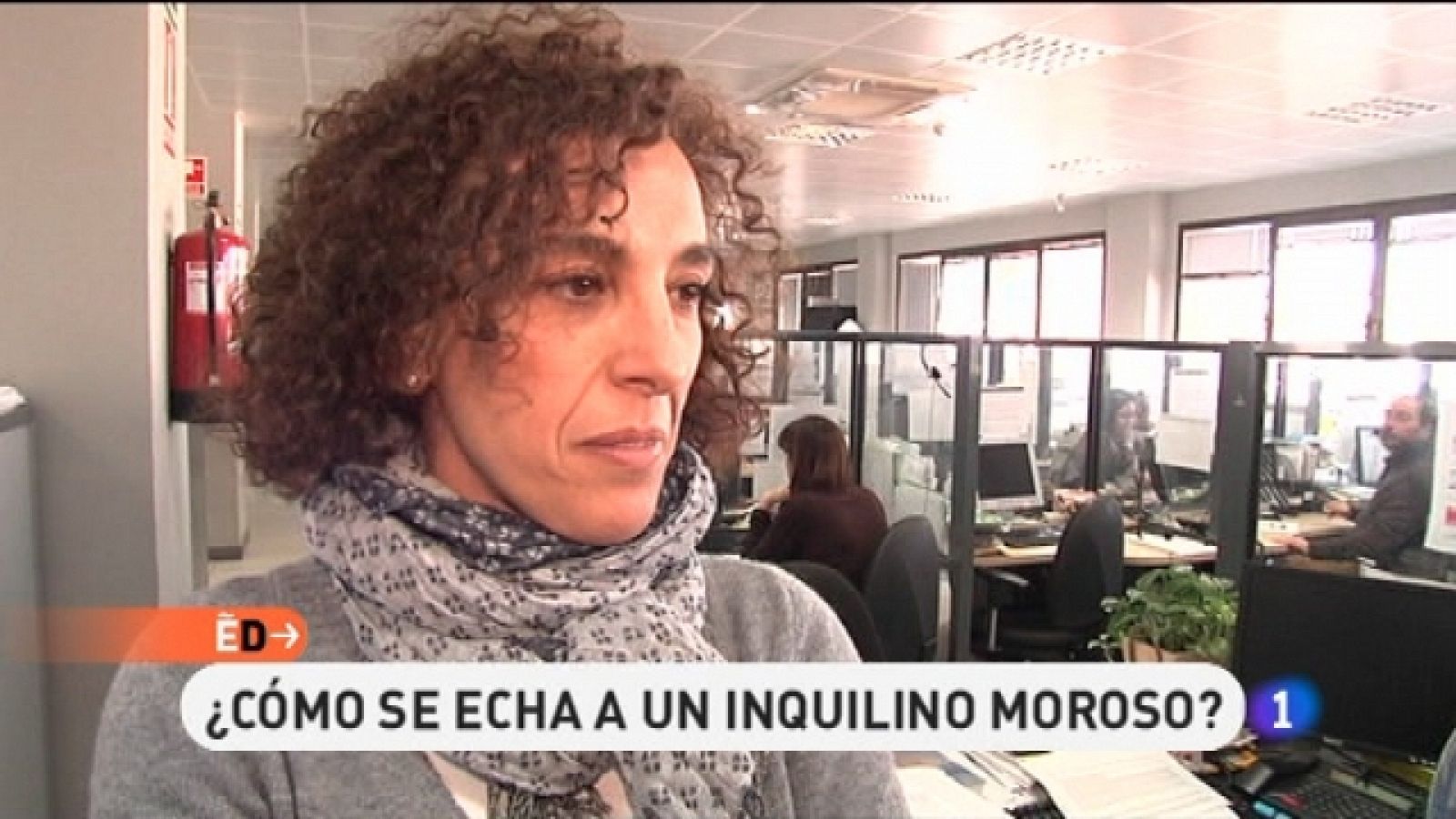 España Directo - 17/02/11 - España Directo | Ver