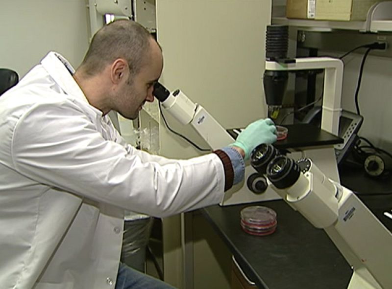 El 31% de toda la investigación científica del mundo se hace en Estados Unidos