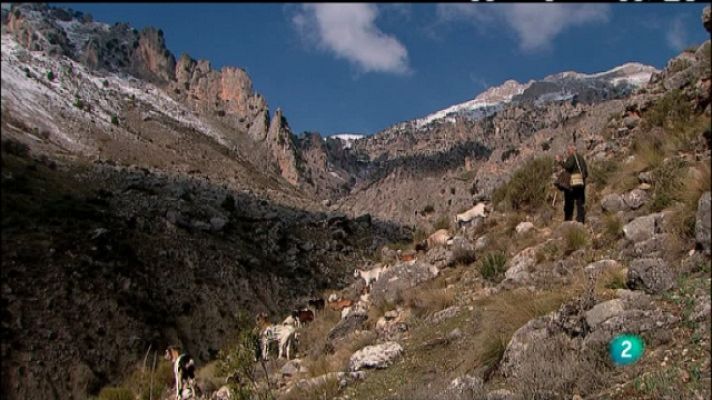 Biodiario - Biodiario - 18/02/11