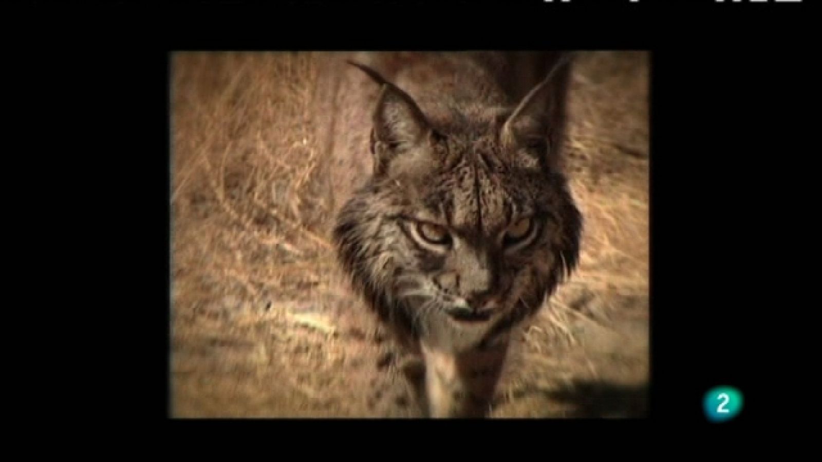 Biodiario - 19/02/11 - Biodiario | Ver