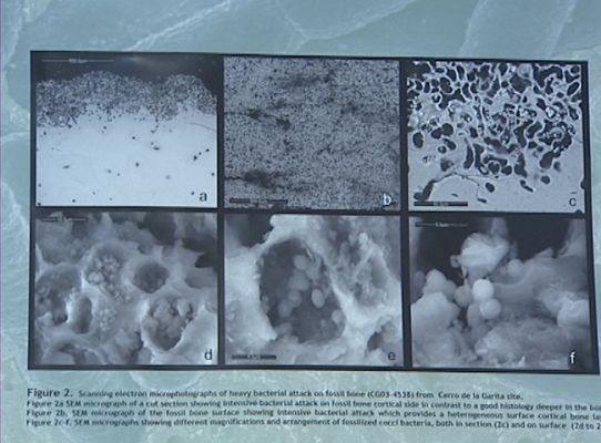 Telediario 1 - Cazadores de meteoritos