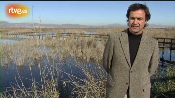 Crónicas - Claves en la crisis de 'El Hondo'