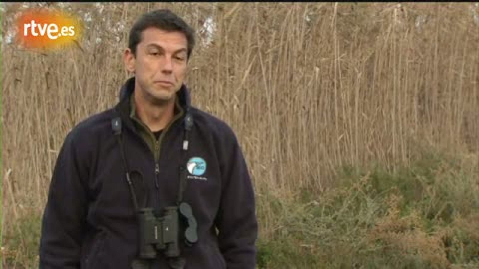 Crónicas - 'El Hondo', humedal fundamental para la conservación de especies acuáticas - Crónicas | Ver