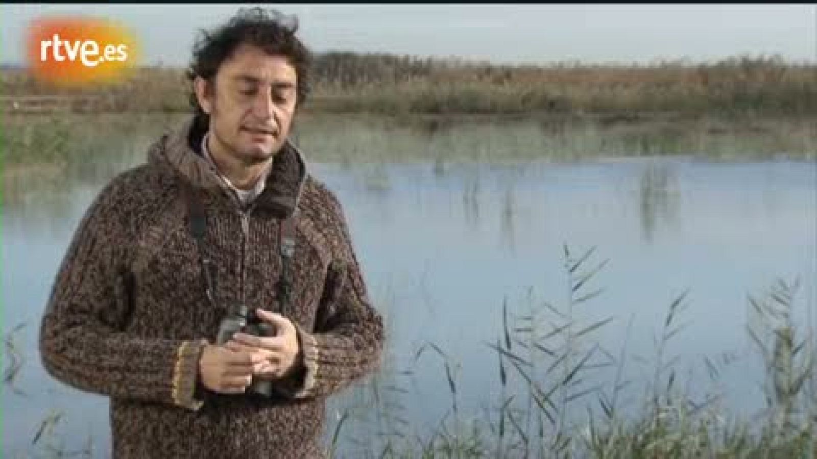 Crónicas - Paradojas en la crisis del humedal de 'El Hondo' - Crónicas | Ver