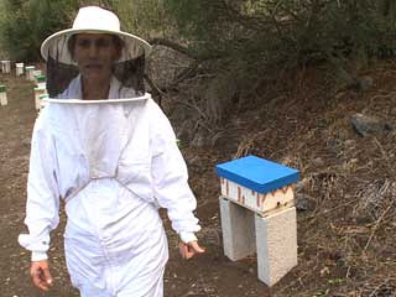 Destino: España, Canarias II, Beatriz