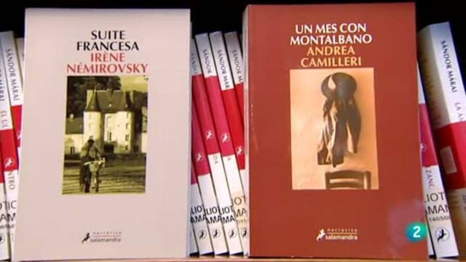 Continuarà - L'editorial salamandra fa deu anys!