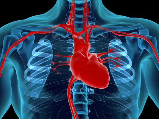 La mañana - Arterias limpias