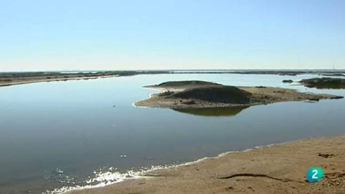 Para todos La 2 - El parque de Doñana