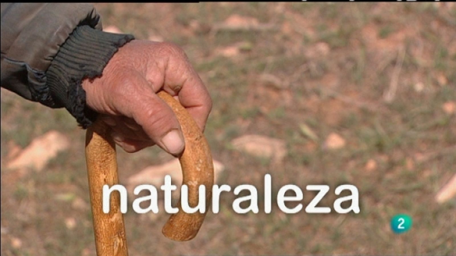 Biodiario - 25/02/11 - Biodiario | Ver