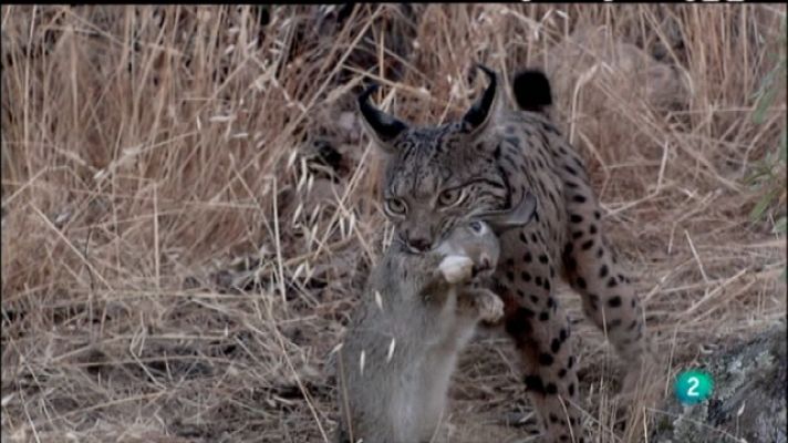 Biodiario - Biodiario - 26/02/11