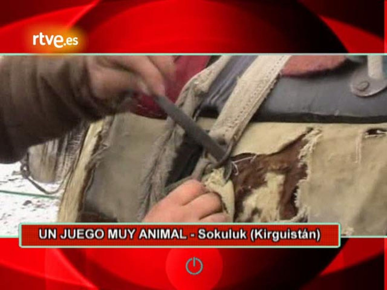 On Off: Un juego muy animal - On Off | Ver