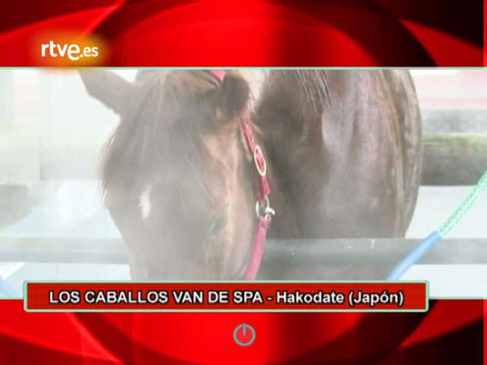 On Off: Los caballos van de spa - On Off | Ver