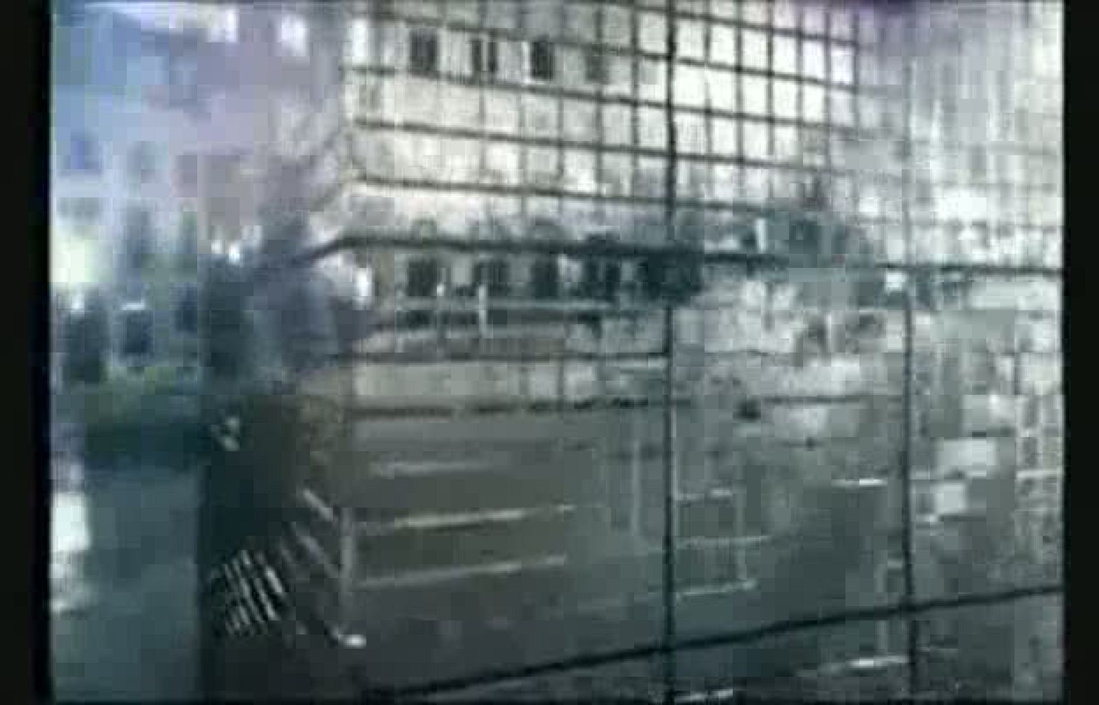 Video concurso "Mojate por Kylie