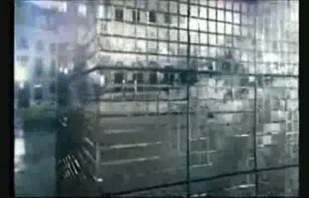  - Video concurso "Mojate por Kylie