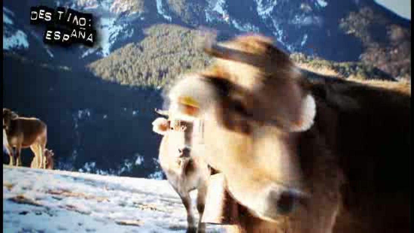 Destino: España - Aragón III - Avance