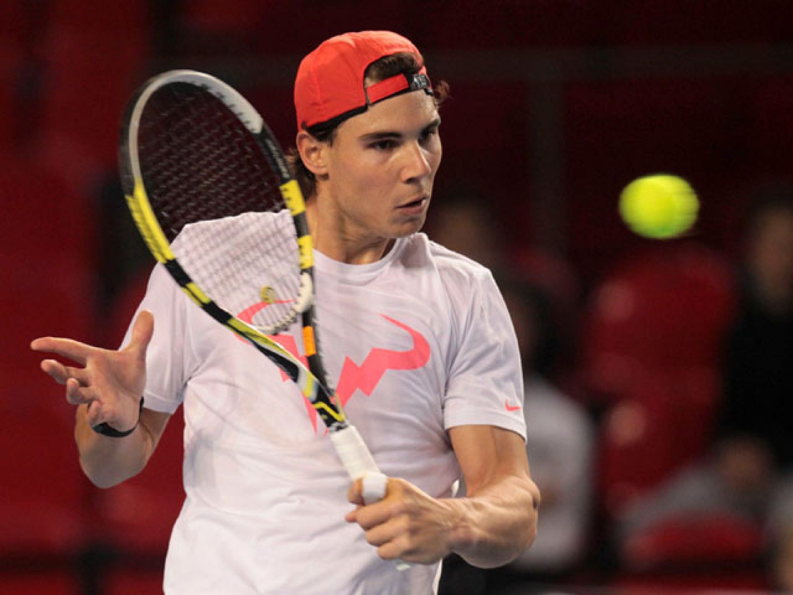 Nadal vuelve a la Davis y se medirá con Bemelmans | Ver