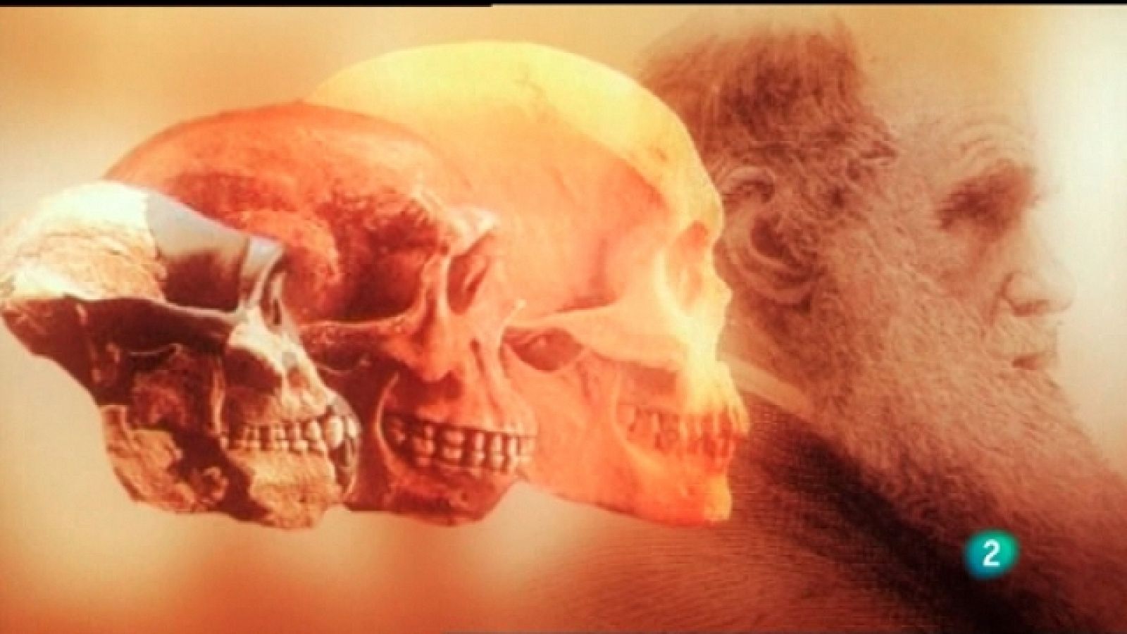 UNED - 04/03/11 - Universo UNED | Ver