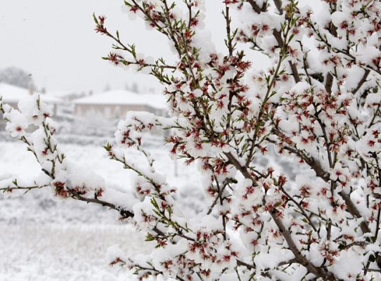 Informativo de Madrid - La Comunidad de Madrid en 4' - 04/03/11